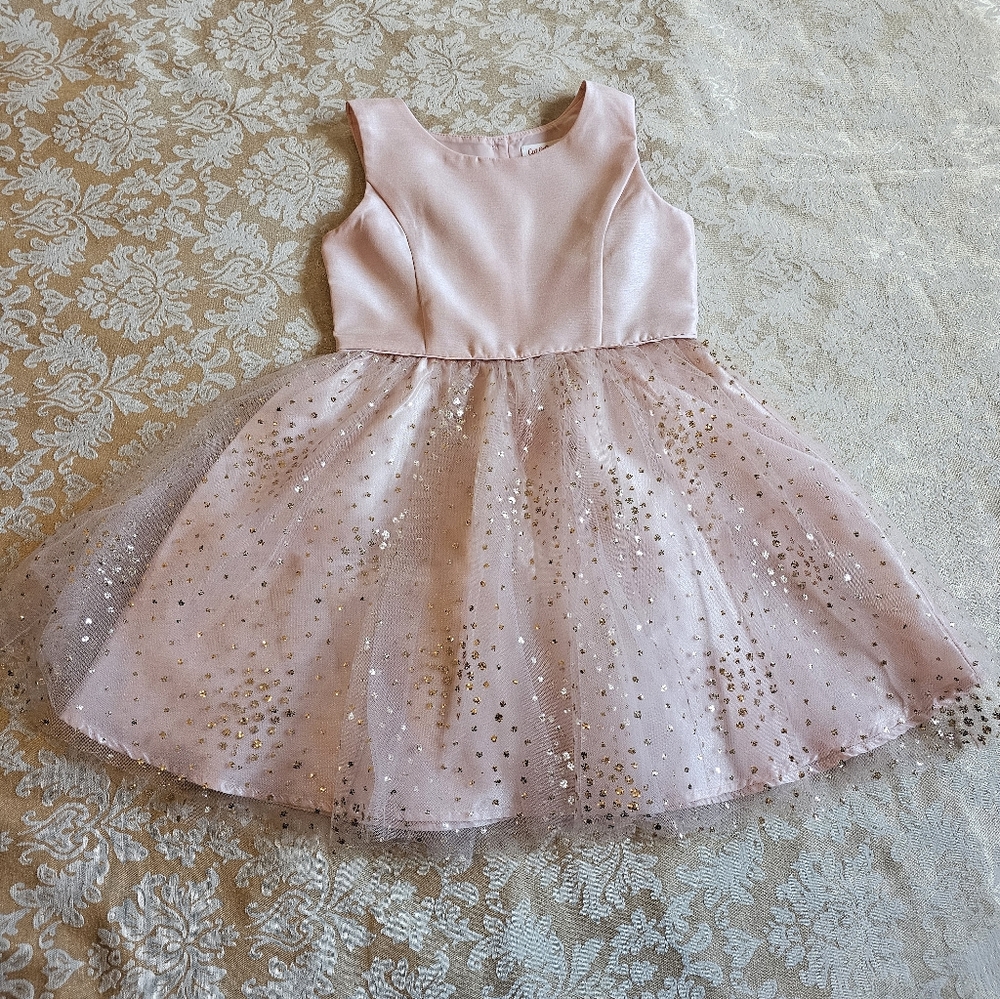 Cat & Jack Brand Girls sparkly tutu princess dress